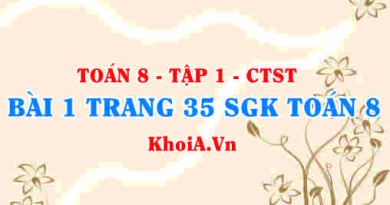 Bài 1 trang 35 SGK Toán 8 Tập 1 Chân trời sáng tạo